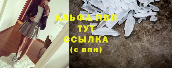 дживик Россошь