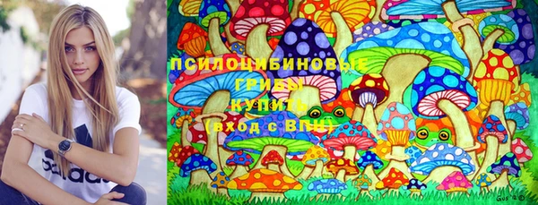 МДПВ Арсеньев